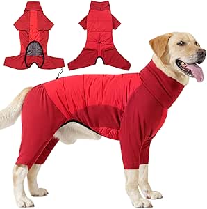 Dog jacket