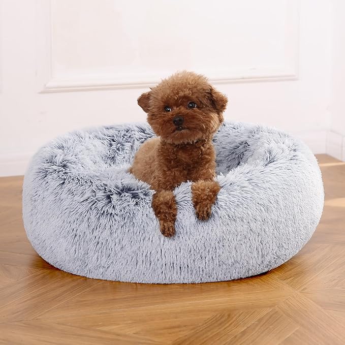dog bed