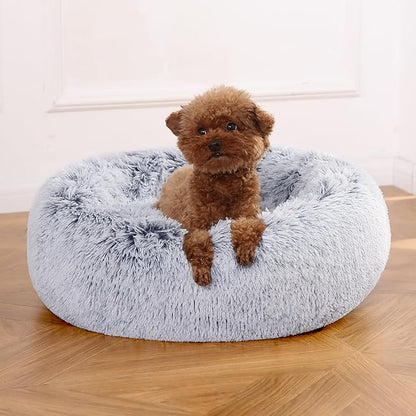 dog bed